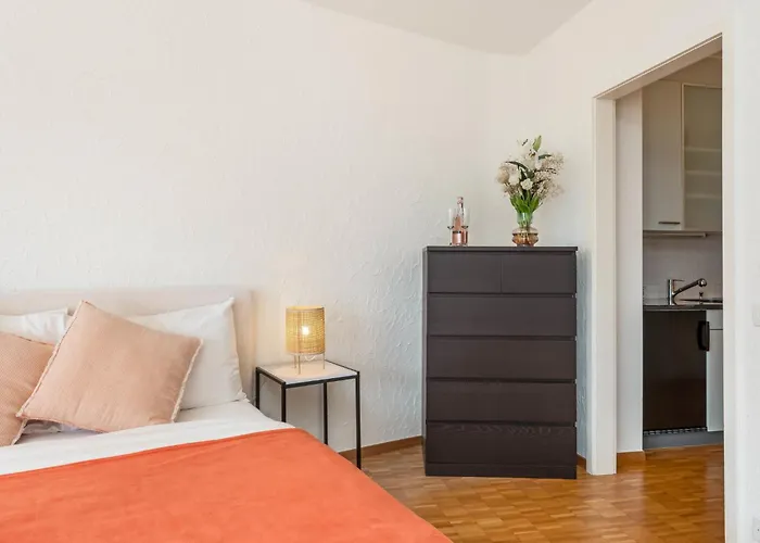 Double Modern-2 By Interhome Apartment Ascona